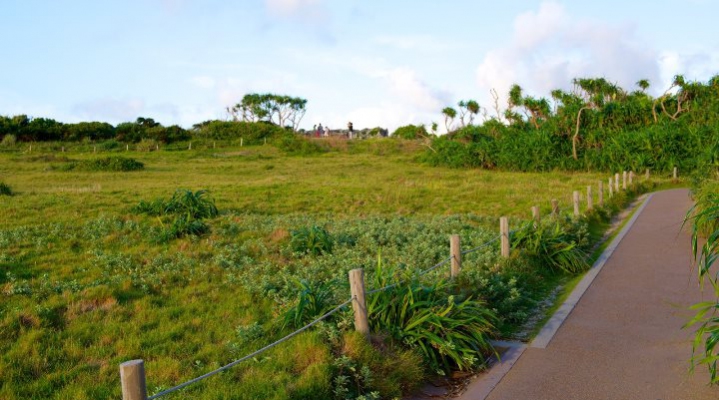 Экскурсия на Окинаве: замок, океанариум, ананасовый парк (English)