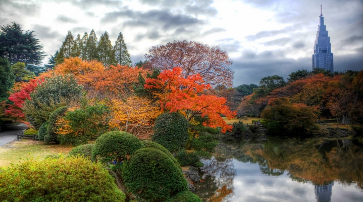Эконом-тур «Осень в Токио»