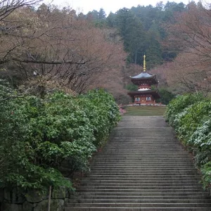Храм Кацуодзи