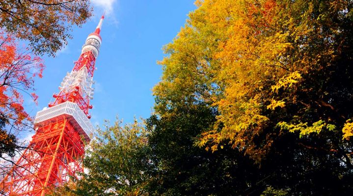 Осенний тур «Большое путешествие + гора Фудзи» 2024