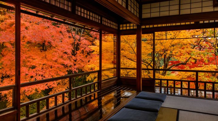 Осенний тур «Четыре столицы + гора Фудзи» 2024