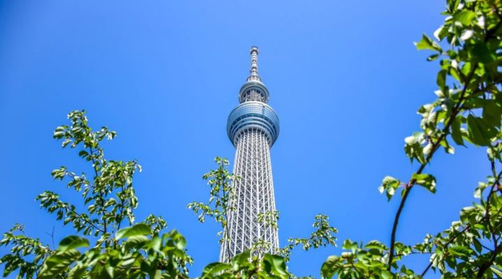 Каникулы в Токио с изучением японского языка