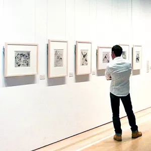 Музей изобразительных искусств Пола